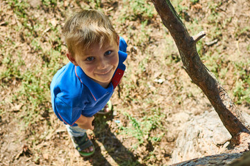 A little boy climbs a tree. Active recreation of the child in nature.