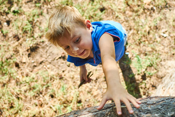A little boy climbs a tree. Active recreation of the child in nature.