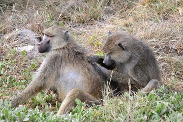 mother and baby