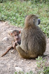 mother and baby