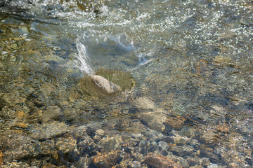 Stein im klaren Wasser