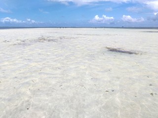 Indian ocean at low tide