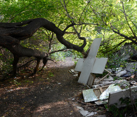 Old abandoned corner of nature abandoned by man.