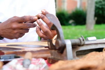 Mann dreht eine Zigarre mit Tabakpflanze