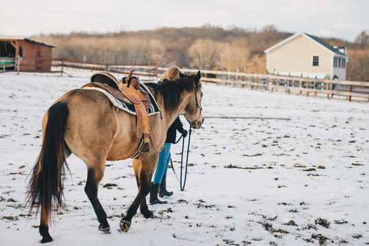 Horse Rider Winter