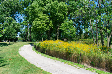 Path with Yellow Flowers at Humboldt Park in Chicago during Summer