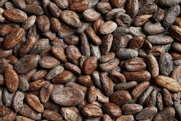 Tasty cocoa beans as background, top view