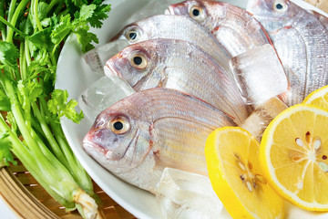 A red plate with fresh red mullet and spices on a white background