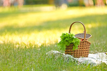 Picnic basket with lettuce and blanket on green grass in park