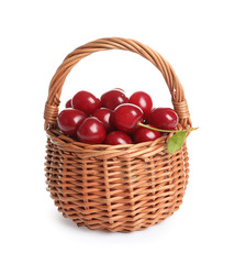 Wicker basket of delicious ripe sweet cherries on white background