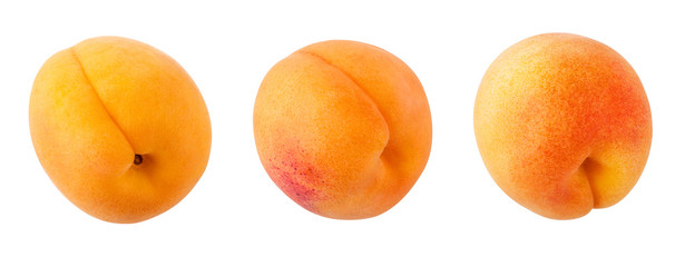 Apricots isolated on white background with clipping path