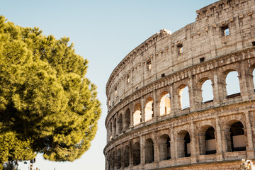 Obraz premium The Coloseum in Rome with beautiful dusk colours