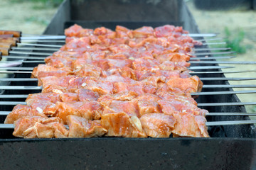 Cooking barbecue on the grill. Tasty, juicy kebab in a spicy marinade is cooked on the grill. Close-up