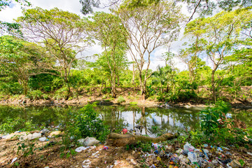 Green River Banks With Trees Full of Garbage and Junk in Santo Domingo, Republica Dominicana