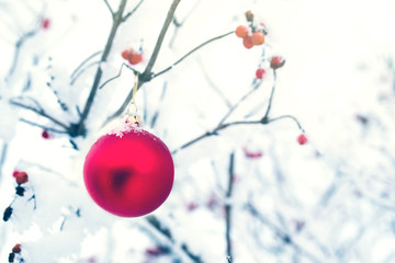 Christmas background with red christmas ball on tree in winter snow covered garden, christmas...