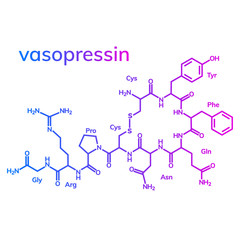 Vasopressin or argipressin chemical formula