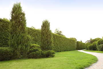 Picturesque landscape with brick path on sunny day. Gardening idea