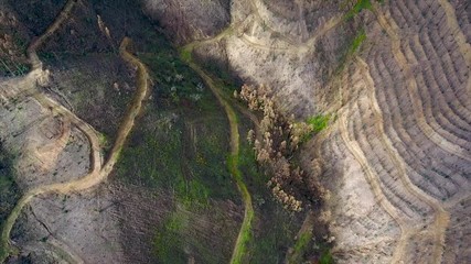 Aerial. Portuguese forest Monchique, after the fires view from the sky.