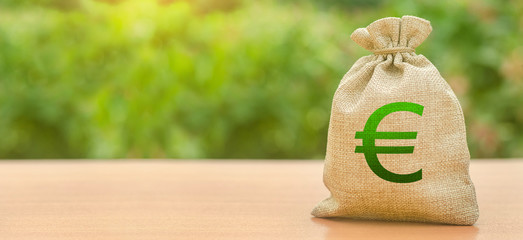Money bag with Euro symbol on a nature background. Attracting investment to development and...