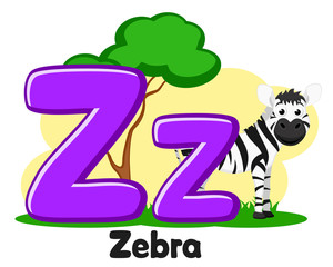 Alphabet Zebra horse, letter Zz on a white. Preschool education.