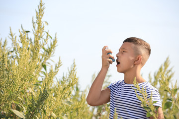 Little boy with inhaler suffering from ragweed allergy outdoors