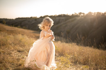 Portrait of a beautiful little princess girl in a pink dress. Posing in a field at sunset
