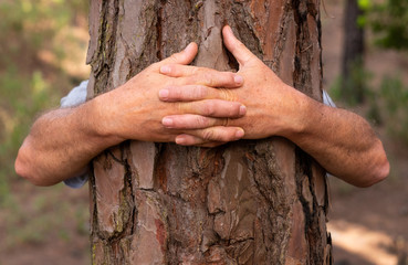 A senior adult man in the woods hugging a tree with his arms in the woods. Earth Day concept....