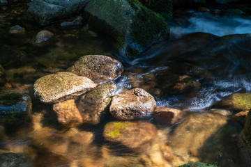 Schwarzwald im Hochsommer