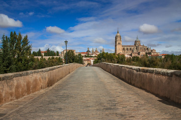 Fototapeta na wymiar Roman Bridge of Salamanca, Salamanca, Spain.