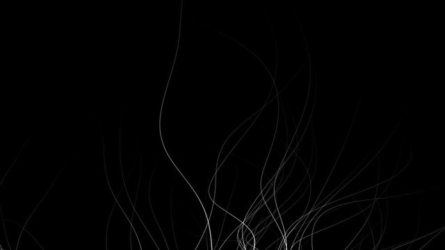 abstract graphic background in plant-style - white on black (FULL HD)