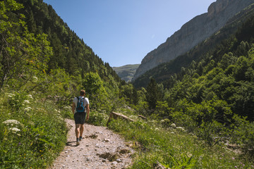 Fototapeta na wymiar Hiker walking on a trail path in a valley with forests and mountains on sides in the Pyrenees