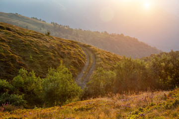 Fototapeta na wymiar Beautiful morning mountain landscape. Carpathian mountains of Ukraine. Holidays in the mountains.