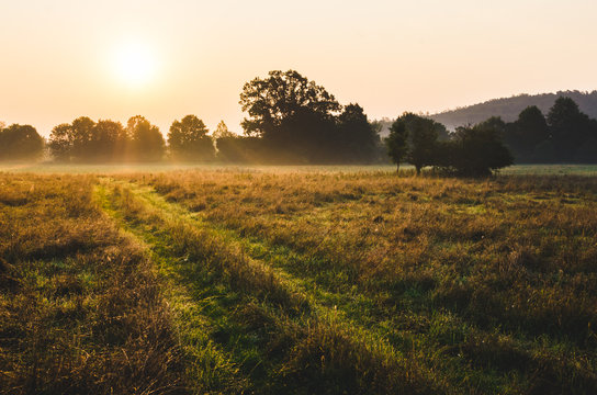 Beautiful sunrise over a misty meadow in summer morning 