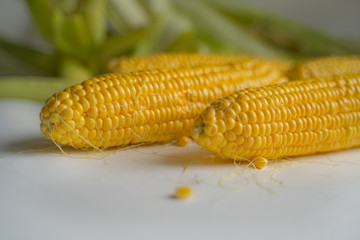 open ears of ripe yellow corn in green leaves lie on a white table