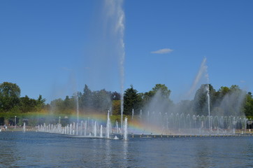 Fontanna multimedialna, Wrocław © Ewa