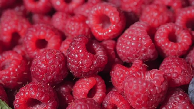 Close Up Rotation Loopable Raspberry. Fresh, Juicy Raspberry Background, Ripe. Macro Red Raspberries Fruit. Fresh Raspberry Fruits As Food Dackground. Healthy Food Organic Nutrition.