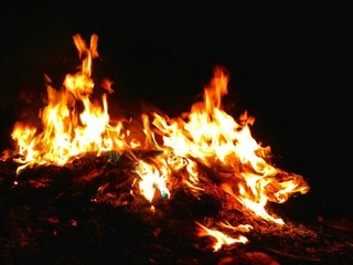 Fototapeta premium fire in fireplace