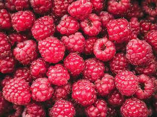 a lot of ripe raspberries close up - food background