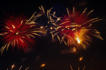 Fototapeta na wymiar Colorful fireworks in night sky