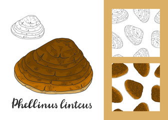 Phellinus linteus set with seamless patterns.