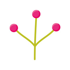 branch with seeds plants garden