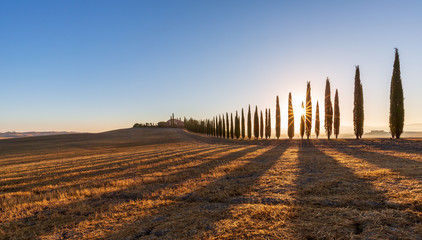 Tuscan landscape with cypress trees and farmstead at sunrise, dawn, San Quirico d'Orcia, Val d'Orcia, Tuscany, Italy