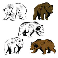 Brown bears set  for mascot or logo design