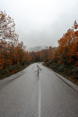 Fototapeta premium The road to Plastiras Lake in Greece covered with fog in Autumn
