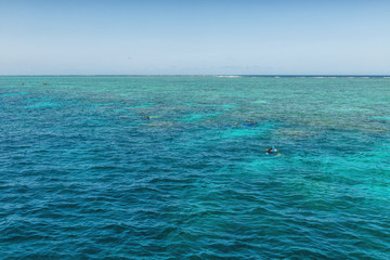 Winter sunny day on the Great Barrier Reef, Queensland, Port Douglas, Australia