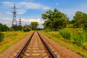 Fototapeta na wymiar Railroad track through a green pine forest