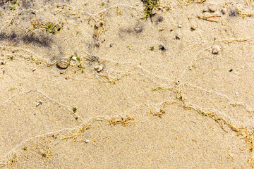 closeup of wet colorfull sand pattern of a beach