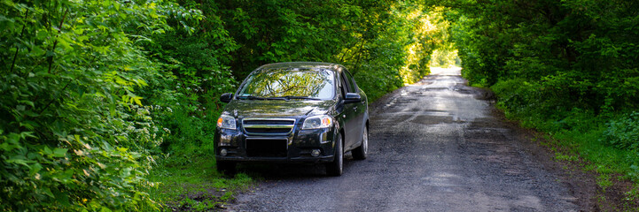 car stands on an old road in a green tunnel, Landscape in the Countryside.