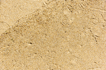 closeup of wet colorfull sand pattern of a beach