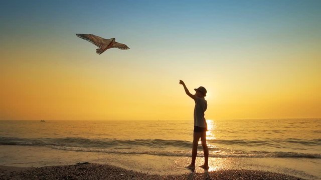 Happy young boy flying kite on the beach at sunset, slow motion
